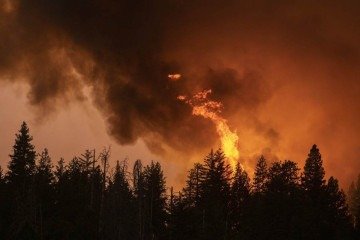 Incêndios florestais e as ondas de calor causam graves consequências para a saúde -  (crédito:  AFP)
