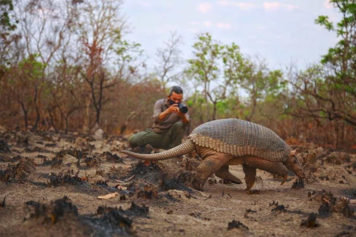 Maior projeto privado de conservação do Brasil, Sesc Pantanal faz 25 anos