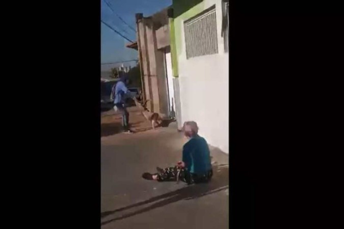 (crédito: Reprodução/Redes sociais) (crédito: Reprodução/Redes sociais)