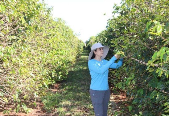 Adilson Werneck/Divulgação