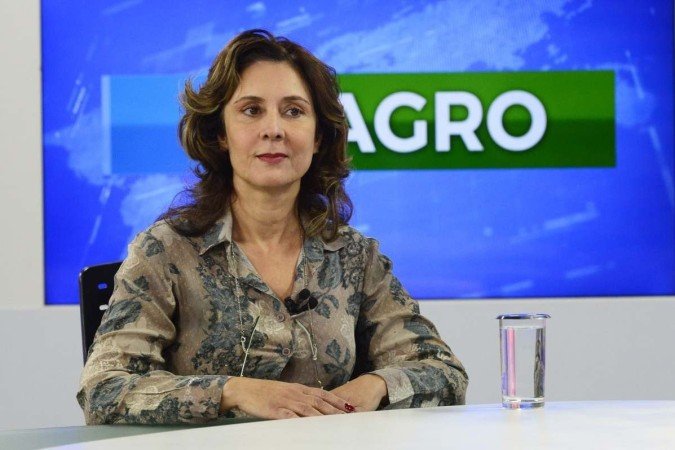  (crédito:  Marcelo Ferreira/CB/D.A Press)