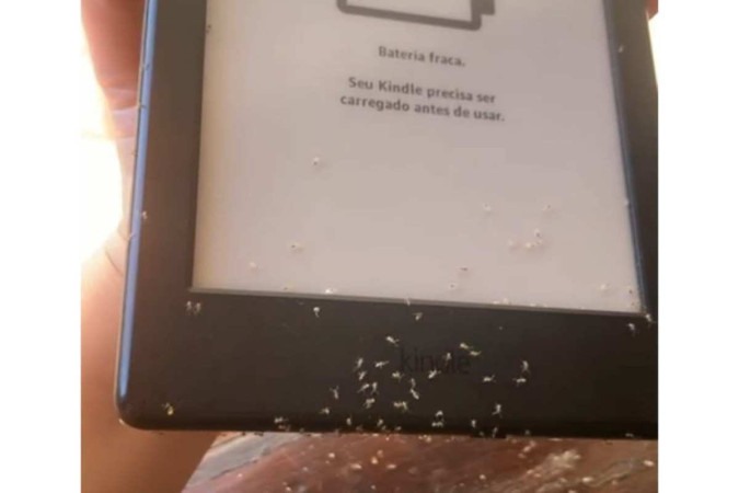 Formigas invadem Kindle de morador do DF e compram dois livros - (crédito: Reprodução)