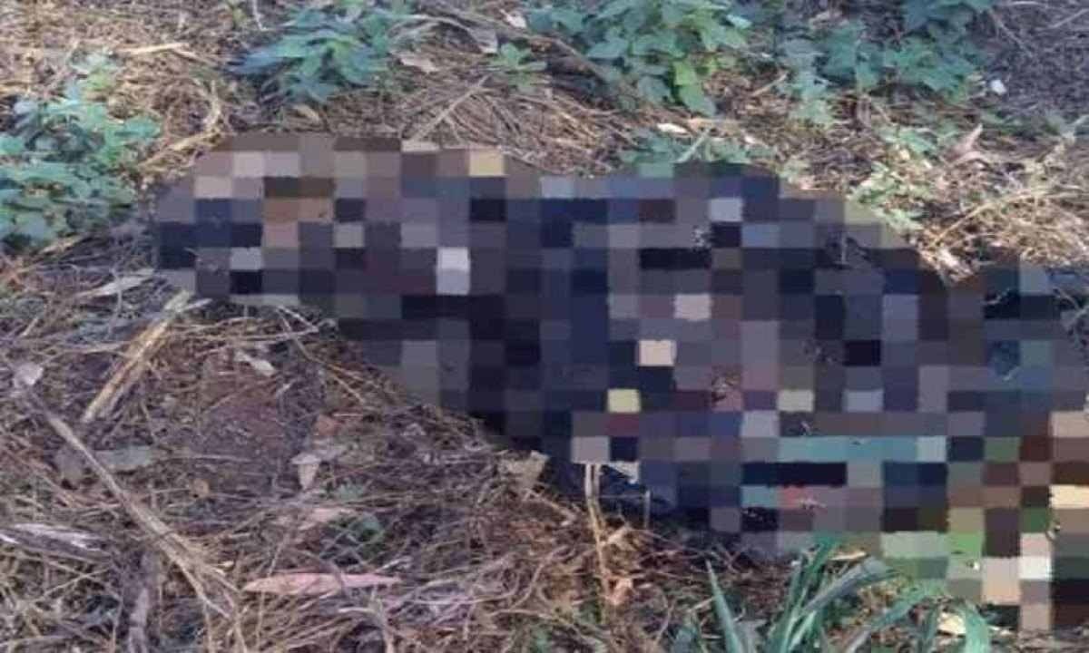  Mulher encontra restos mortais humanos à beira de rodovia 