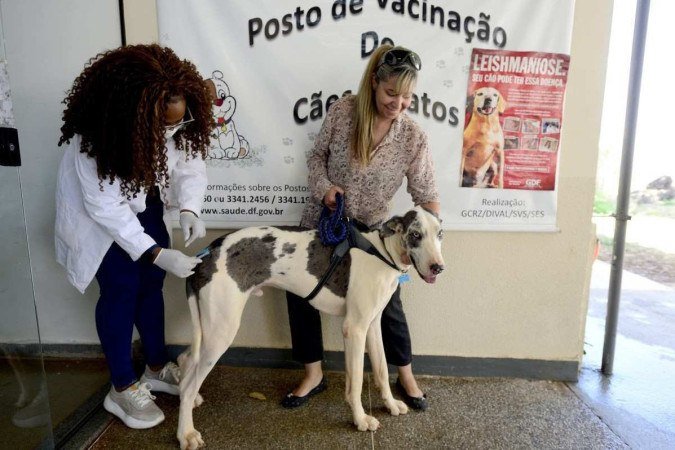 Isabela Vieira levou seu cachorro Biscoito para tomar uma dose de vacina contra raiva - (crédito: Marcelo Ferreira/CB/D.A Press) Isabela Vieira levou seu cachorro Biscoito para tomar uma dose de vacina contra raiva - (crédito: Marcelo Ferreira/CB/D.A Press)
