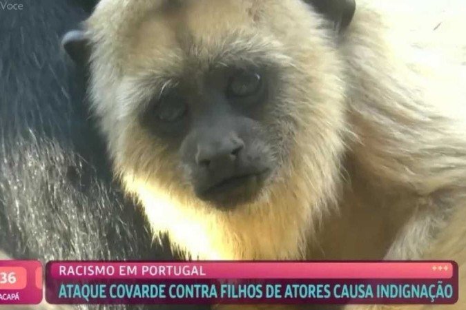 (crédito: Reprodução/TV Globo) (crédito: Reprodução/TV Globo)