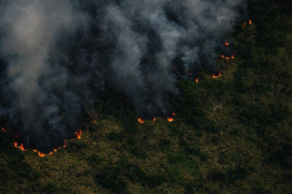 Dia da Amazônia: região está longe de ser prioridade no país