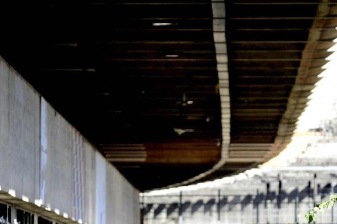  04/08/2022 Crédito: Marcelo Ferreira/CB/D.A Press. Brasil. Brasilia - DF -  Suspeita de variola do macaco na UnB