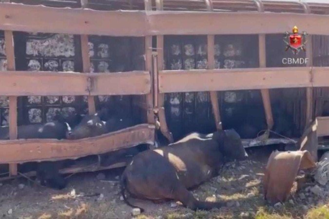  (crédito: Divulgação/CBMDF)