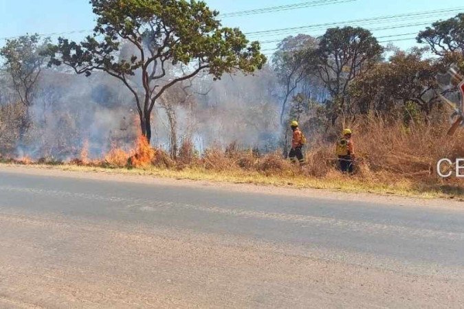 Bombeiros atuam em incêndio na Floresta Nacional: ameaça aos recursos hídricos