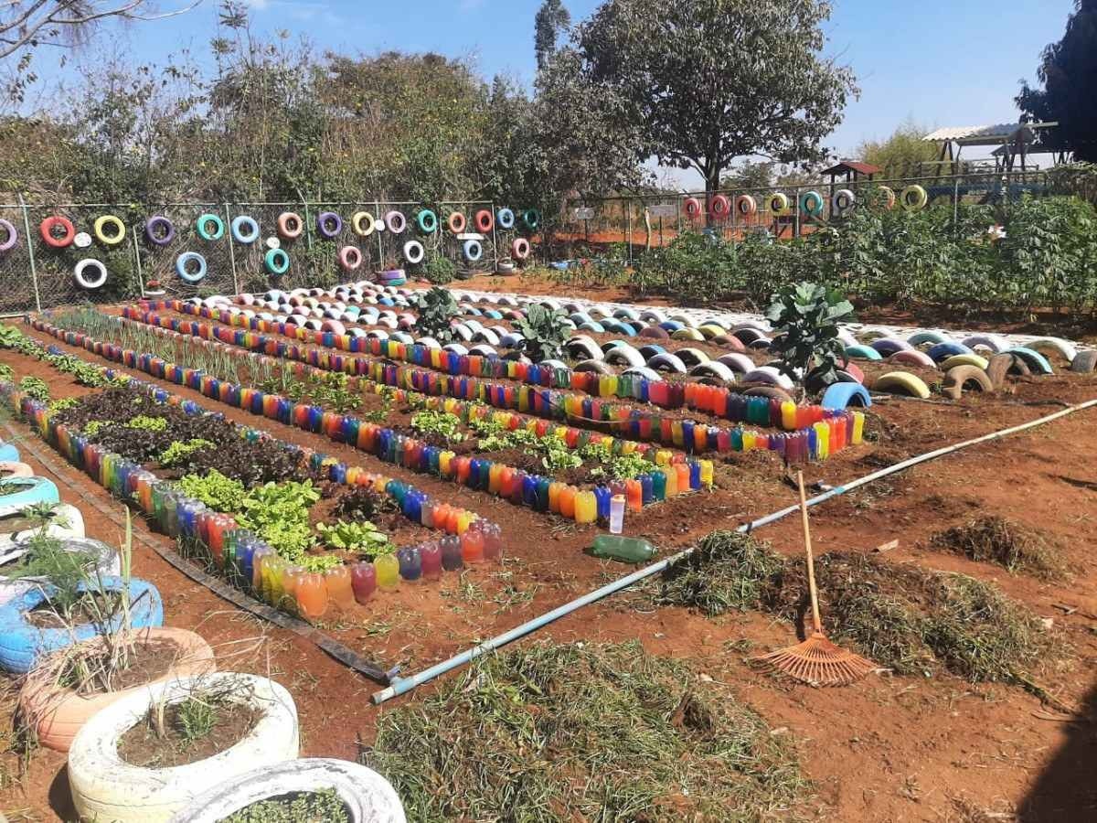 Escola do Paranoá cria horta comunitária que abastece a comunidade