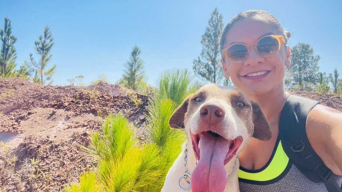 Tentativa de envenenamento de animais em Arniqueira 