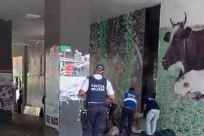  (crédito: No Setor/ reprodução )