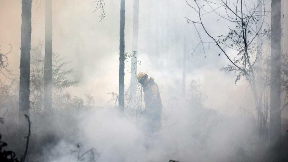 Europa tem verão com recorde de superfície queimada por incêndios