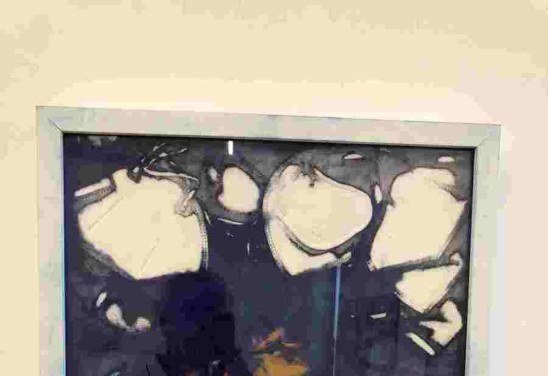 Bené Fonteles/Arquivo Pessoal