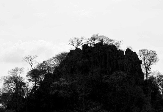 Fotografia do cerrado por Zuleika de Souza, fotojornalista e uma das curadoras do Foto BSB