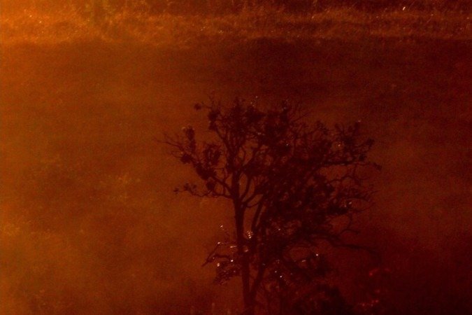 Fotografia do cerrado por Zuleika de Souza, fotojornalista e uma das curadoras do Foto BSB