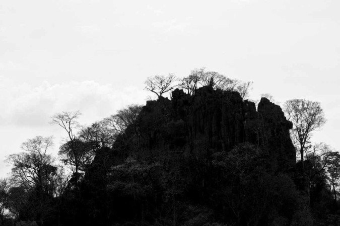 Fotografia do cerrado por Zuleika de Souza, fotojornalista e uma das curadoras do Foto BSB