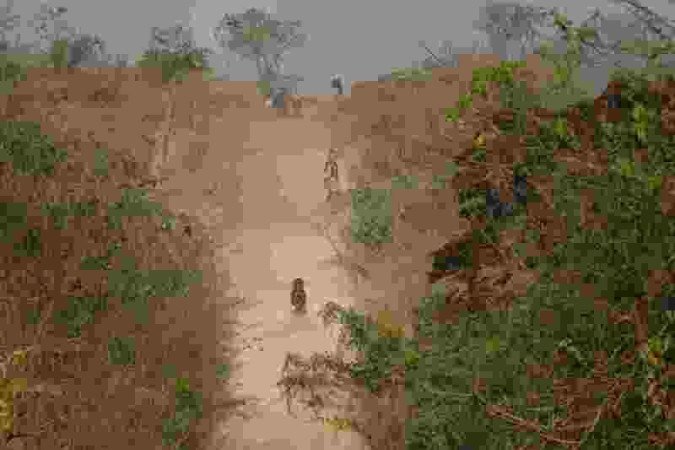 Fotografia do cerrado por Zuleika de Souza, fotojornalista e uma das curadoras do Foto BSB