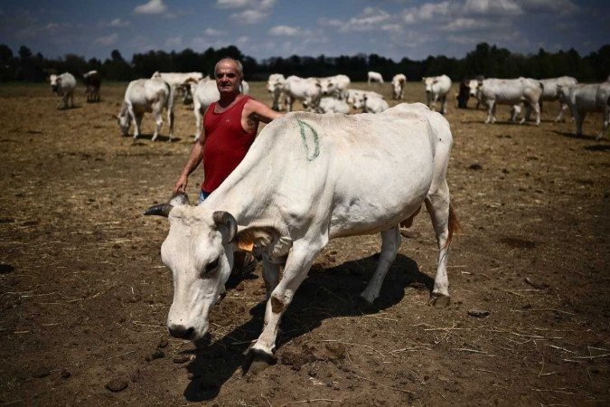 (crédito: MARCO BERTORELLO / AFP) (crédito: MARCO BERTORELLO / AFP)