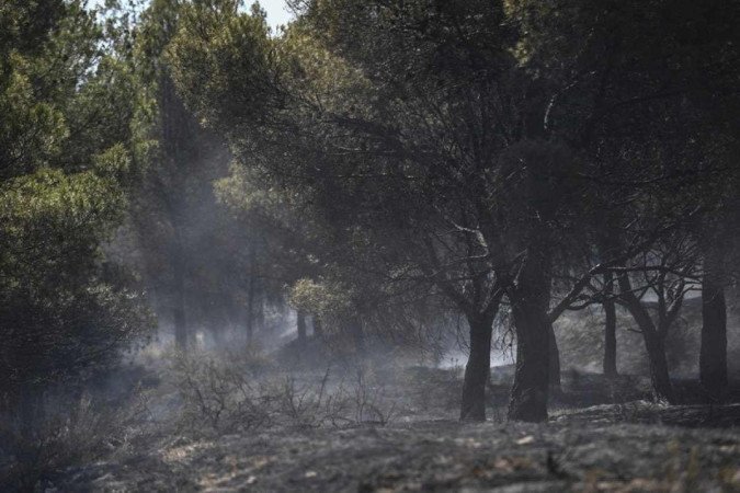 (crédito: Ander Gillenea/ AFP) (crédito: Ander Gillenea/ AFP)