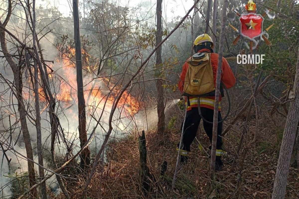Incndio na Floresta Nacional dura mais de 24 horas e consome reserva