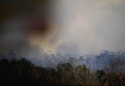 Incêndio devastou uma área equivalente a 240 campos de futebol da Flona, na segunda-feira (22/8) -  (crédito: Carlos Vieira/CB/D.A.Press)