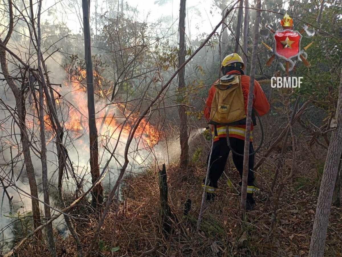 Incêndio na Floresta Nacional dura mais de 24 horas e consome reserva 