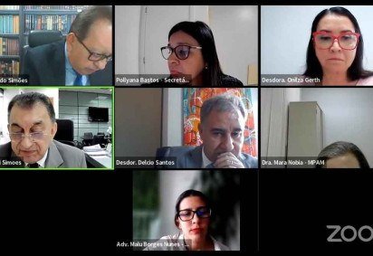 'A minha realidade é a de milhões de brasileiras - trabalhadora e mãe', escreveu a advogada.  -  (crédito: Reprodução/Youtube Segunda Câmara Cível TJAM )