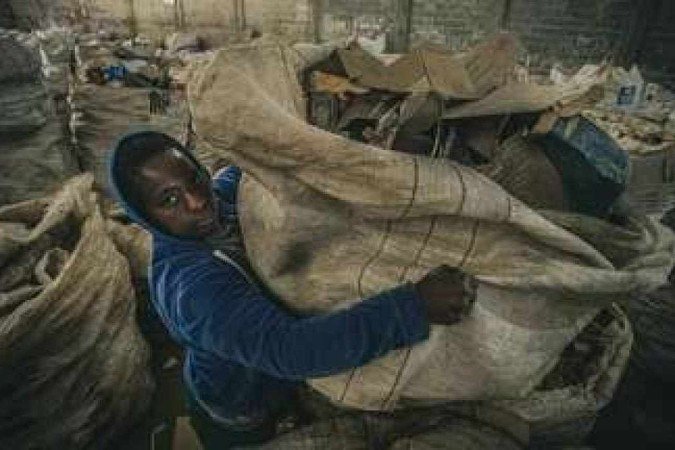 Para a premiação, foram enviadas mais de 7 mil fotos de 120 países, mas somente 40 foram escolhidas pelo juri técnico - (crédito: Milton Lima) Para a premiação, foram enviadas mais de 7 mil fotos de 120 países, mas somente 40 foram escolhidas pelo juri técnico - (crédito: Milton Lima)