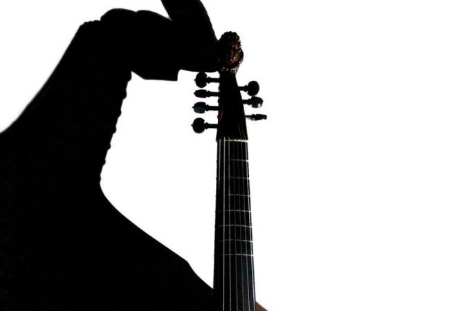 Violas usadas por Roberto Corrêa na gravação do disco Concerto para boi e vaca