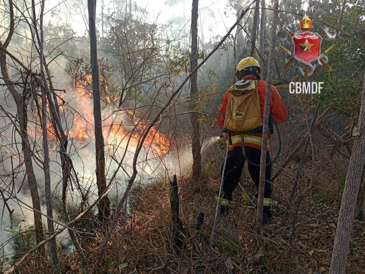 Incêndio na Flona é controlado; mais de 170 hectares foram atingidos
