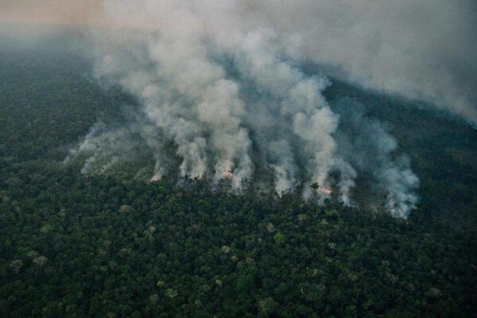 Incêndio florestal na Amazônia: antes mesmo de fevereiro chegar ao fim, número de registros já é recorde da série histórica -  (crédito: Christian Braga/Greenpeace)