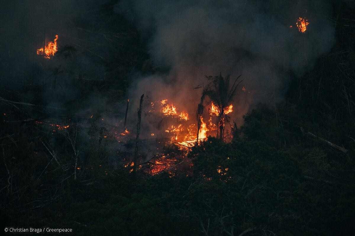 Amazônia perdeu quase 3 mil campos de futebol por dia em 2022, aponta Imazon