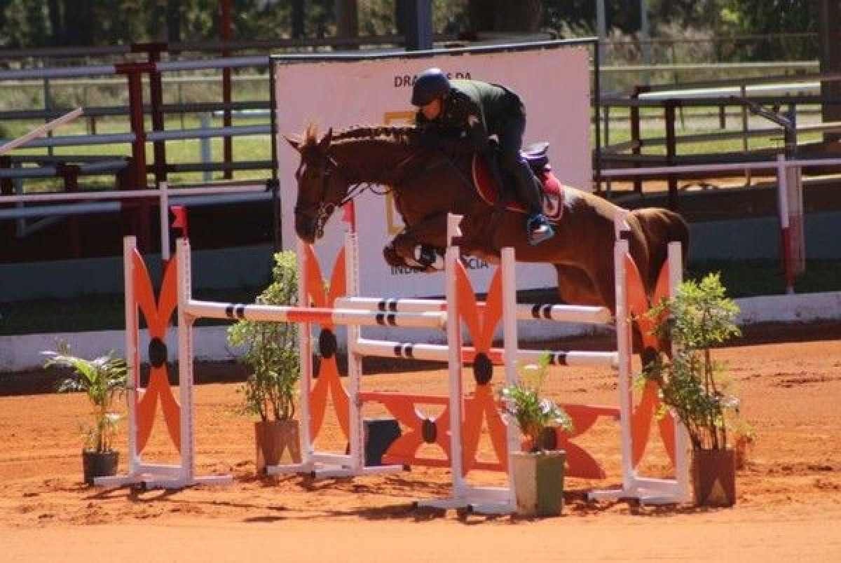 XI Copa Dragão de Hipismo é atração em Brasília até domingo, no SMU