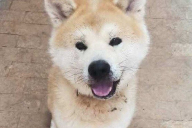  (crédito: Arquivo pessoal)