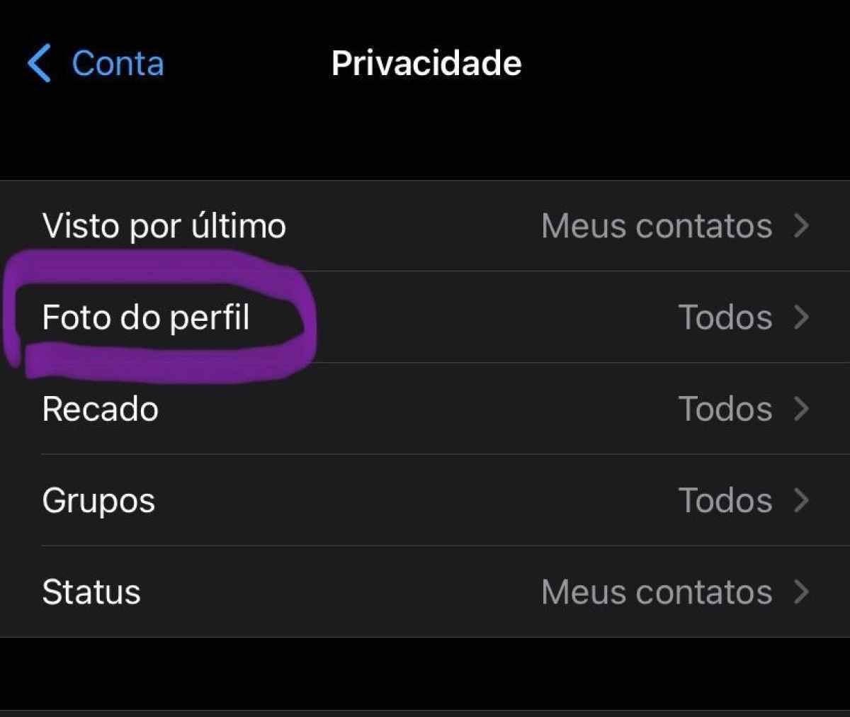 Opção "foto do perfil"