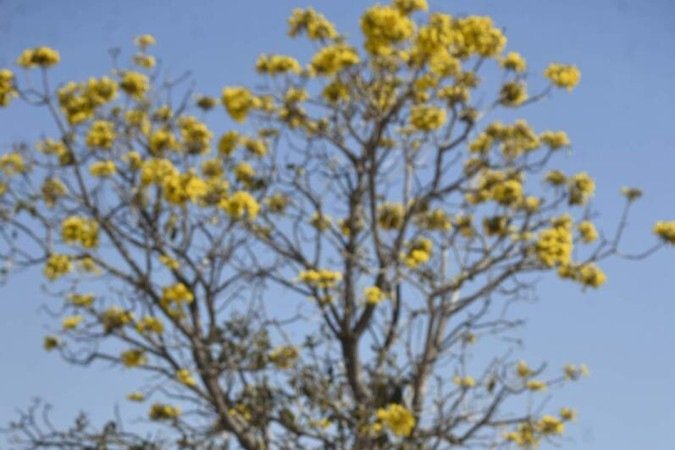  28/08/2022. Crédito: Minervino Júnior/CB/D.A Press. Brasil.  Brasilia - DF. Missa e procissão de Dom Bosco na Erminda Dom Bosco.