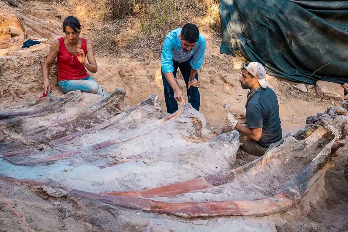 Dinossauro africano mais antigo é descoberto - Nerdizmo