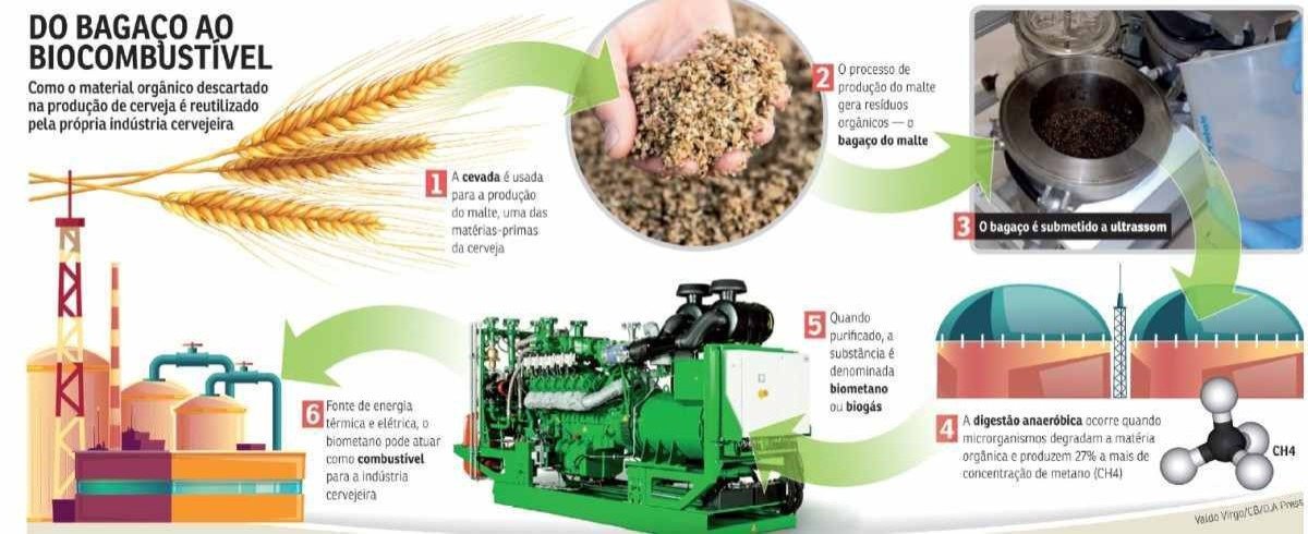Do bagaço ao biocombustível 