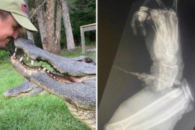 (crédito: Reprodução/Facebook/Florida Gator Gardens) (crédito: Reprodução/Facebook/Florida Gator Gardens)