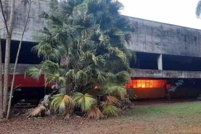 Fogo começou no laboratório de zoologia, onde um acervo de animais é conservado em álcool, o que favoreceu a propagação das chamas - (crédito: Reprodução/Redes Sociais) Fogo começou no laboratório de zoologia, onde um acervo de animais é conservado em álcool, o que favoreceu a propagação das chamas - (crédito: Reprodução/Redes Sociais)