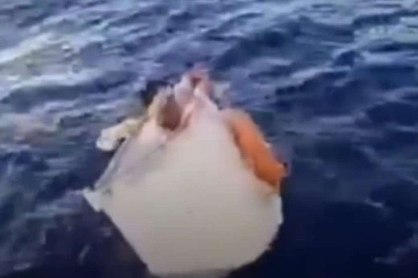 Homem é resgatado após ficar à deriva dentro de freezer por 11 dias