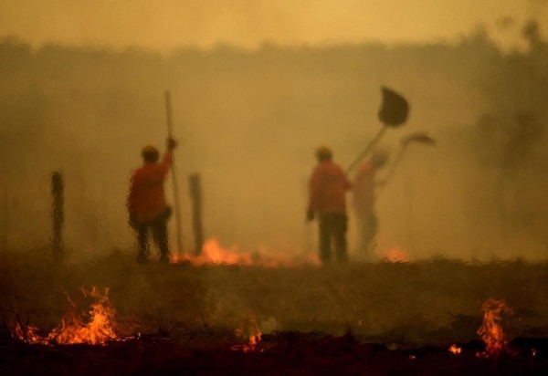 Bombeiros militares e brigadistas do ICMBio atuaram juntos para apagar o fogo