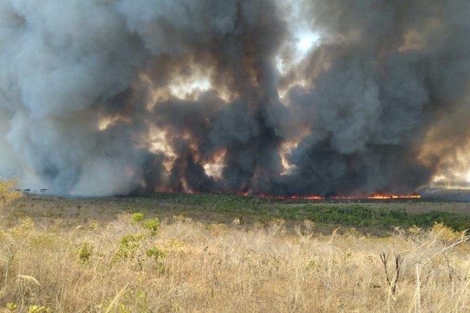 Brigada Florestal ICMBio