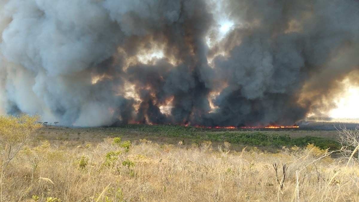 Incêndio destruiu 130 ha do Parque Nacional; Combate ao fogo continua