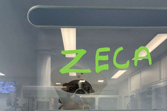  (crédito:  Arquivo Pessoal)