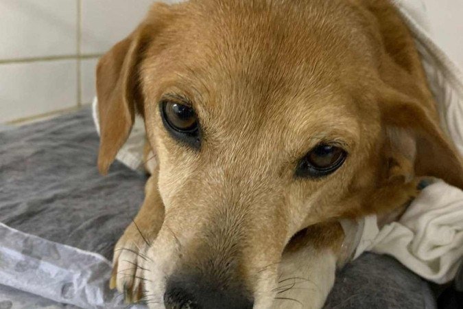  (crédito:  Arquivo Pessoal)