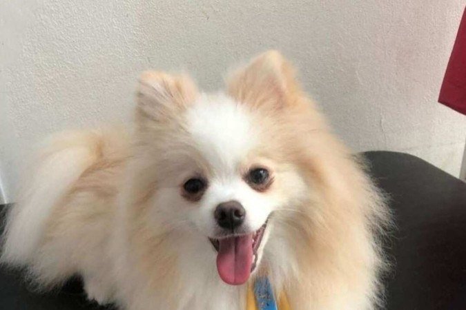  (crédito:  Arquivo Pessoal)