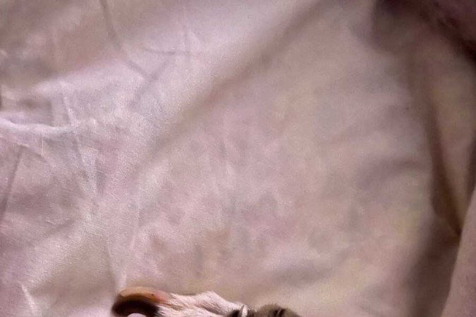 A relação entre Grafite e Lila era bastante especial.