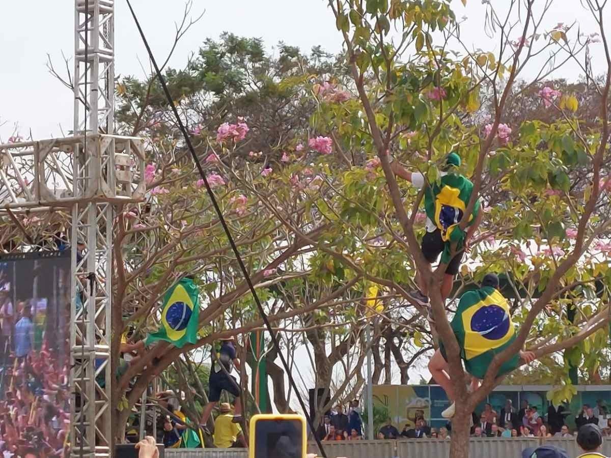 Com arquibancada lotada, público sobe em muro e árvores para assistir ao desfile